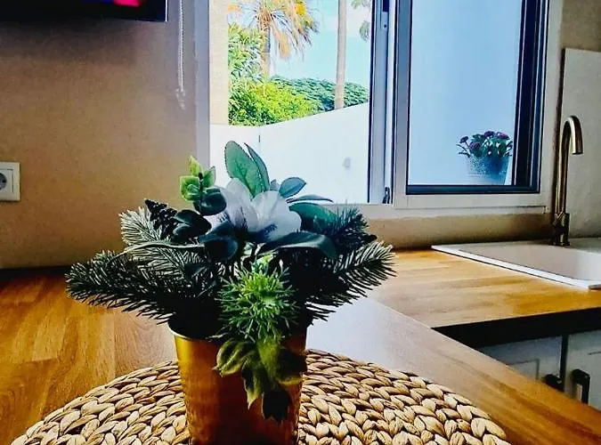 아파트 Precioso Residencial Santa Marta 코스타델실렌시오